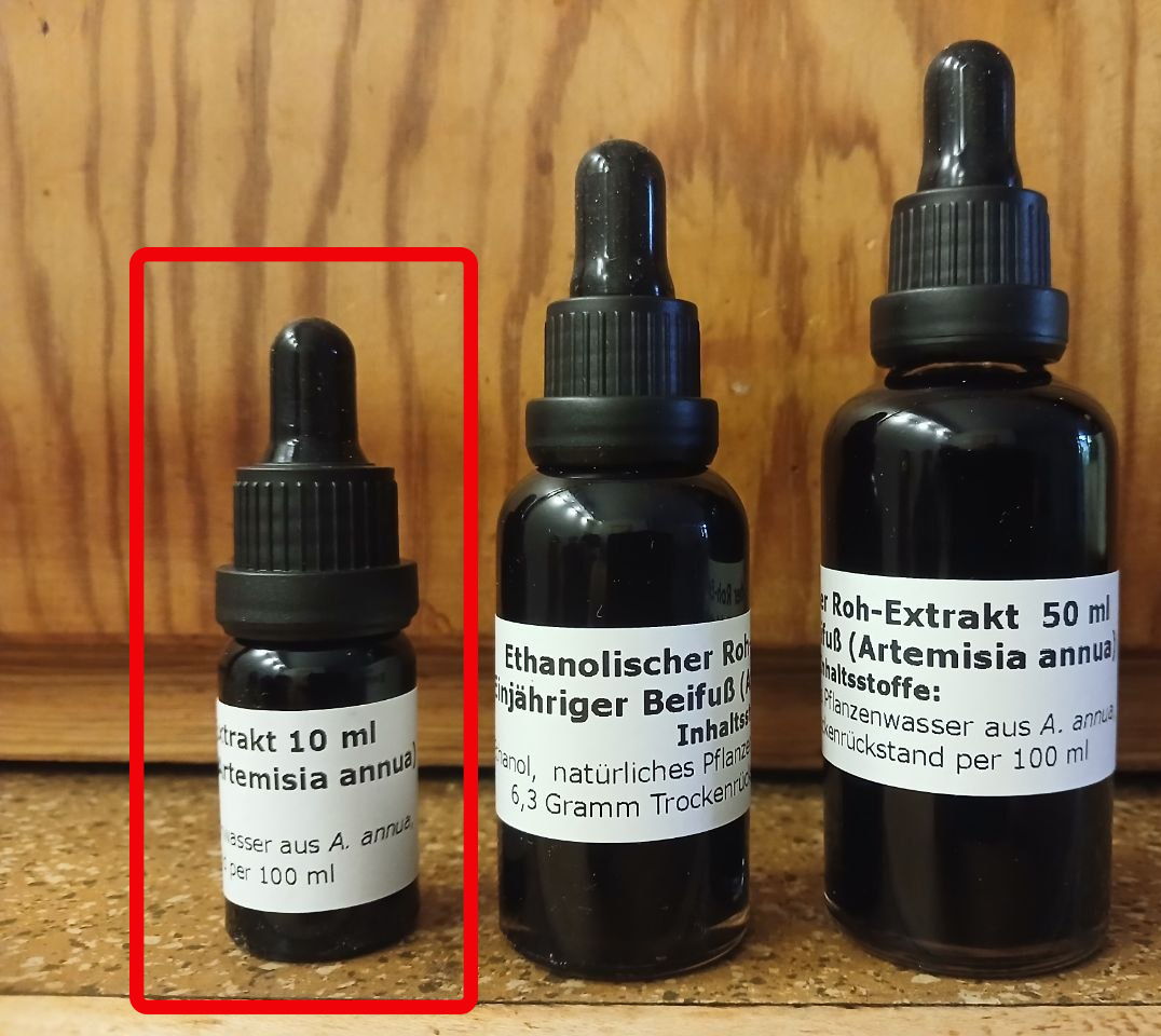 Artemisia annua Roh-Extrakt 10 ml